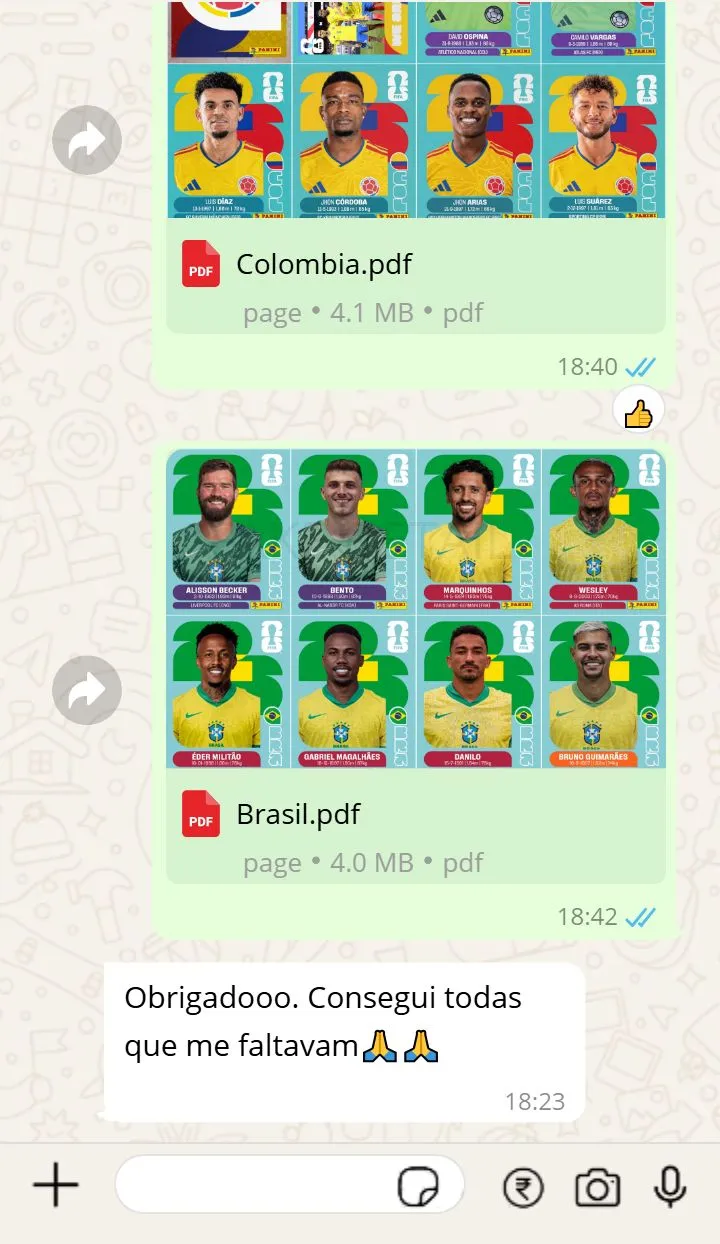 Print de WhatsApp com PDFs de Brasil e Colômbia entregues ao cliente